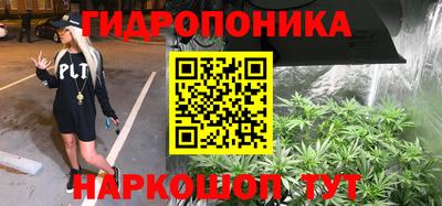 2c-b Заводоуковск