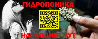 индика Жуковский